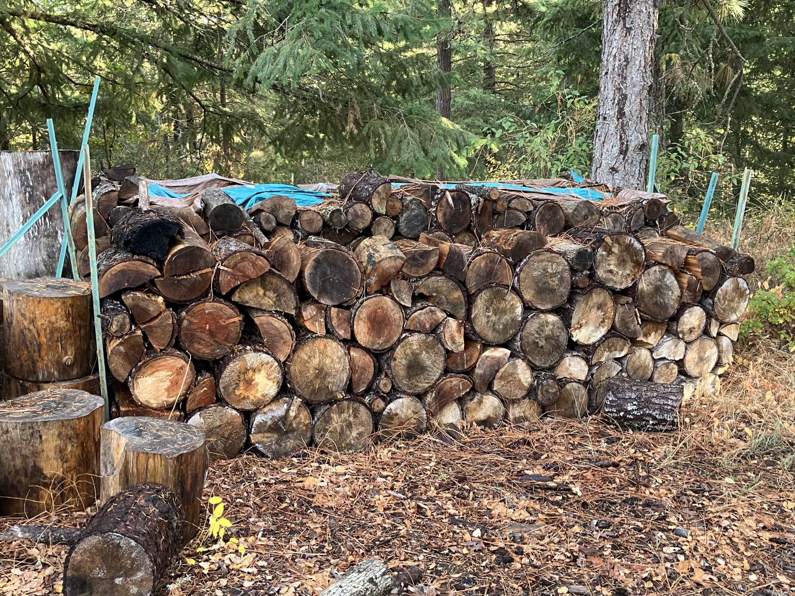 Firewood-2 cords, Uhaul