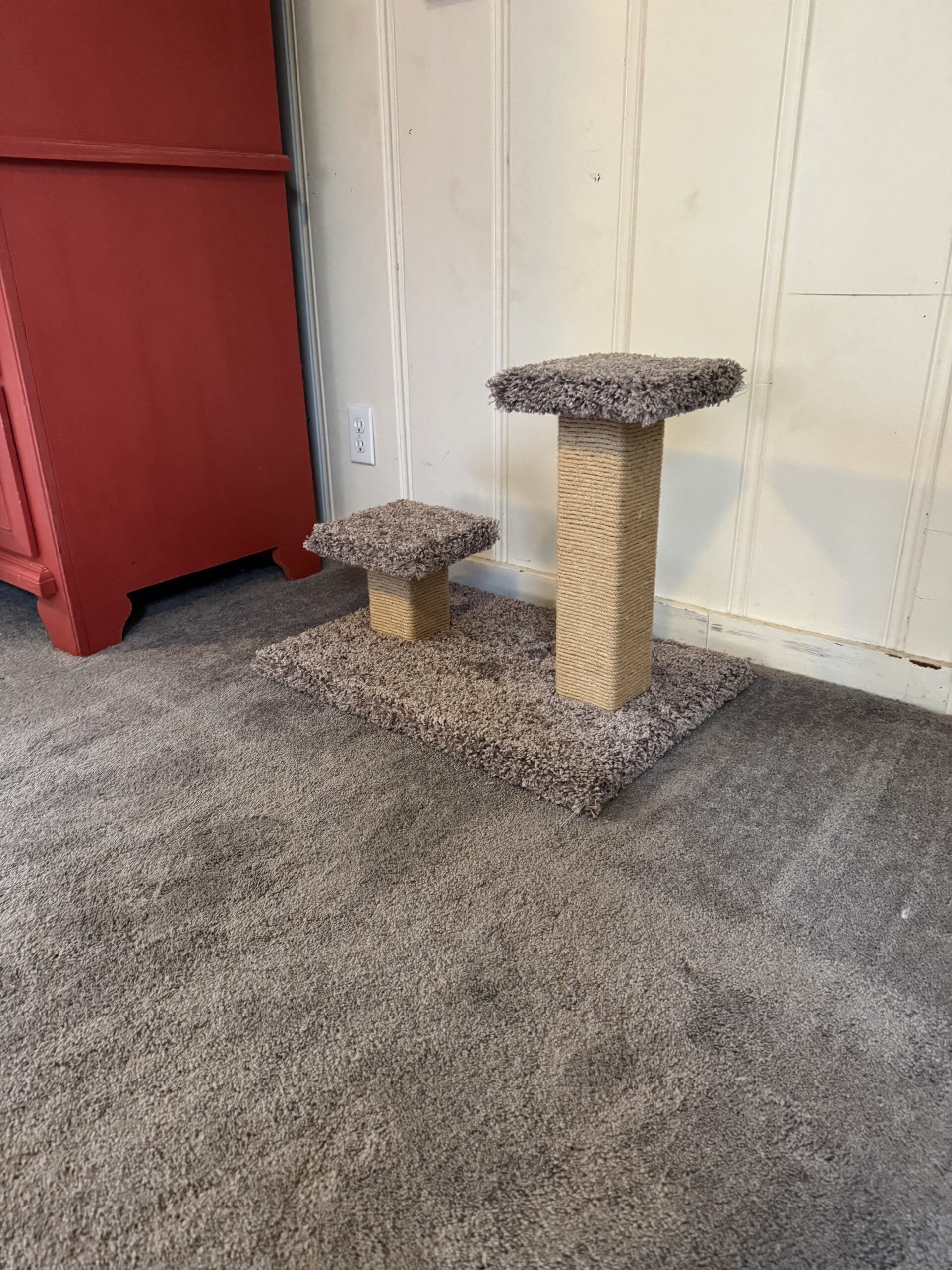 New Cat Tree!