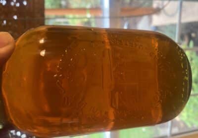 honey-2