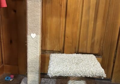 FD53EBFB-9283-4D62-8500-7FA936CA3CFA