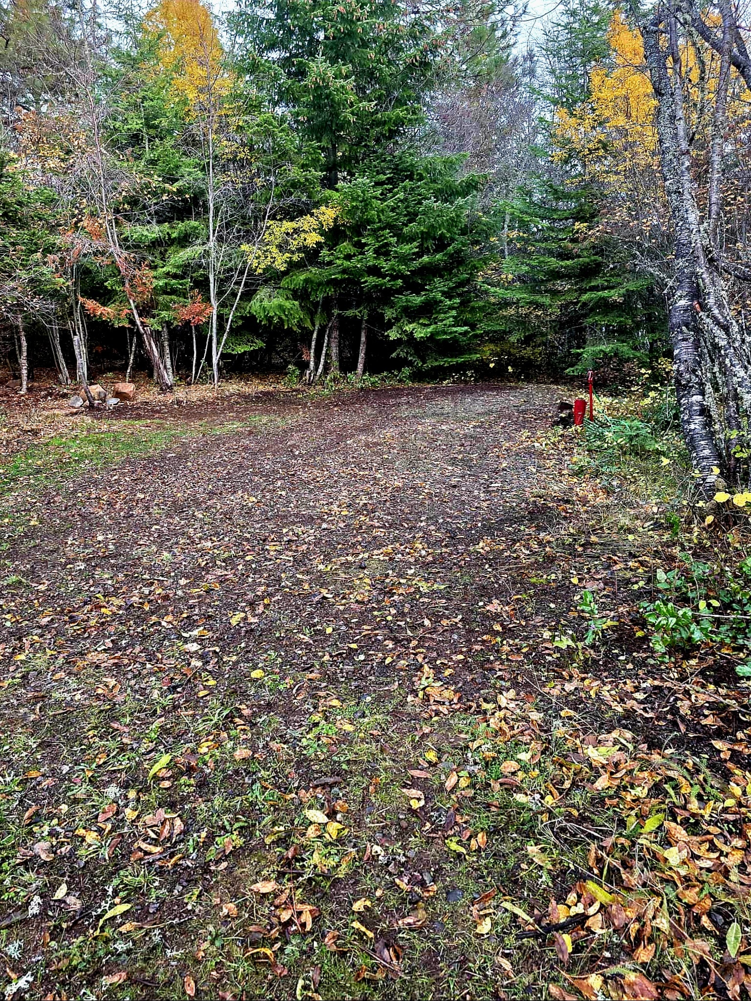 🌲Pop’s Spot – Peaceful Rural RV Space Near White Salmon, WA🌲