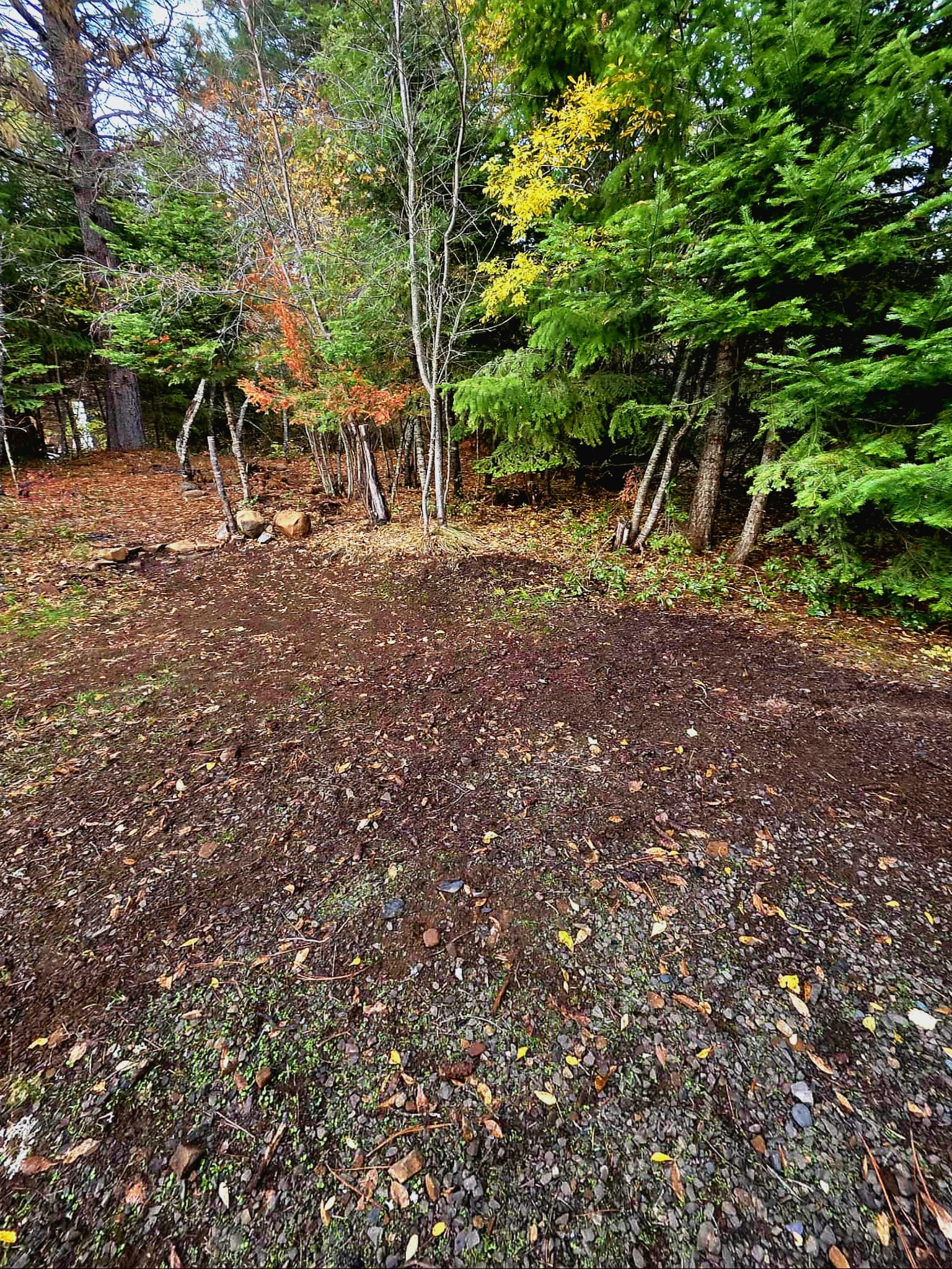 🌲Pop’s Spot – Peaceful Rural RV Space Near White Salmon, WA🌲