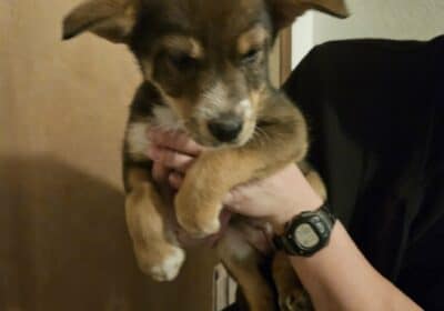 att.om3y05HDodIVYjSaeXzInRvqGRvFQQvbOlIE0phfPds