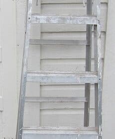 Werner-6ft-Alu-Ladder-1