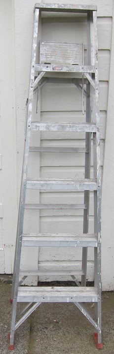 Werner 6′ Aluminum Ladder