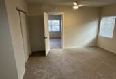 Large One Bedroom, One Bathroom Apartment
