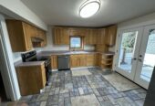 Large One Bedroom, One Bathroom Apartment