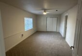 Large One Bedroom, One Bathroom Apartment