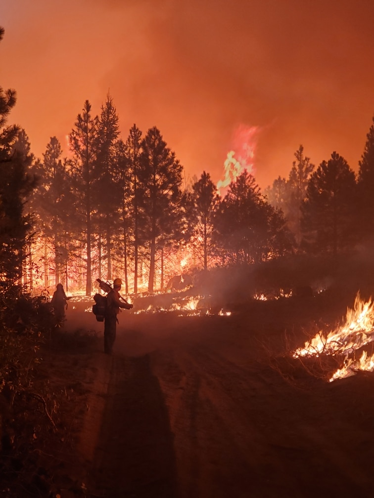 WILDLAND FIREFIGHTERS-No Experience Required