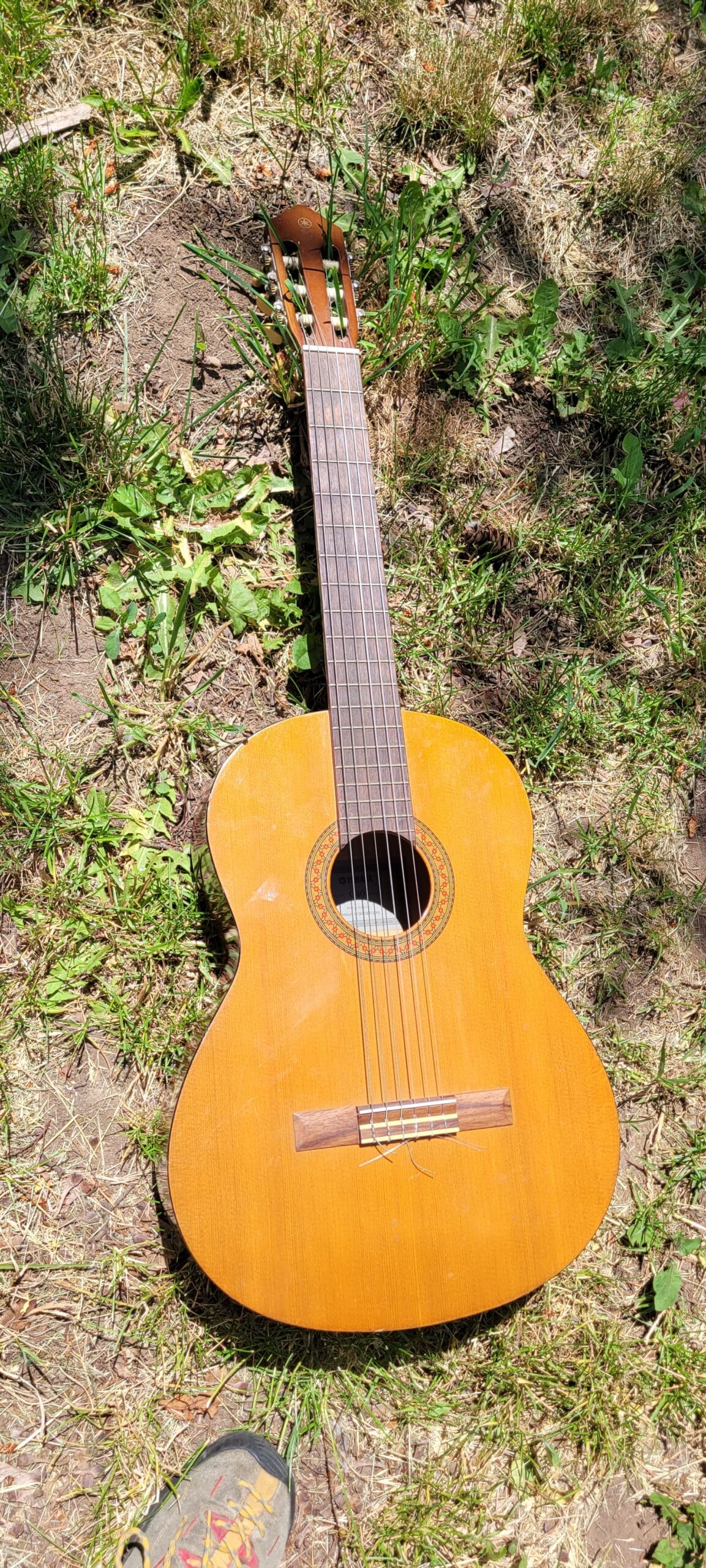 Yamaha c40