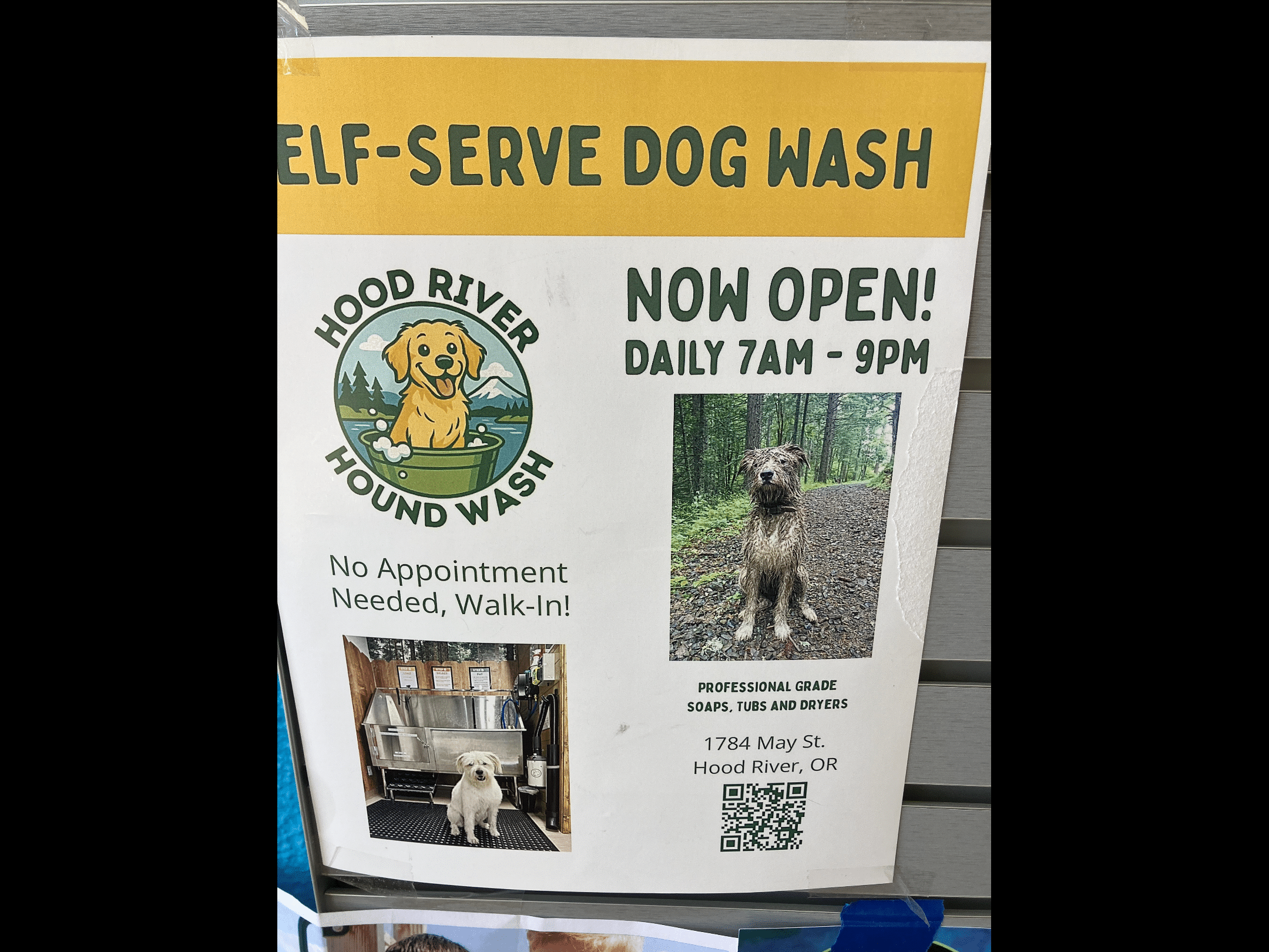 Dog wash