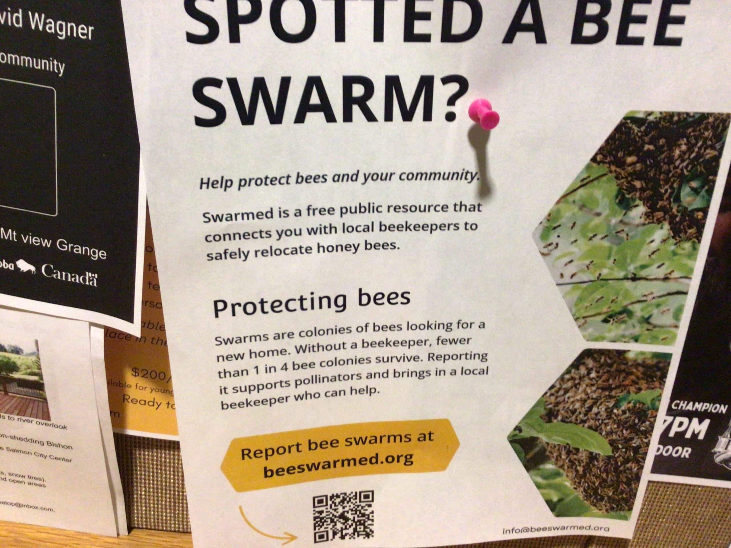 Wanted bee swarms