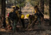 FIGHT FIRE THIS SUMMER – FREE TRAINING- EXCELLENT PAY