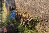 Free wood and fire pit (hardly used)