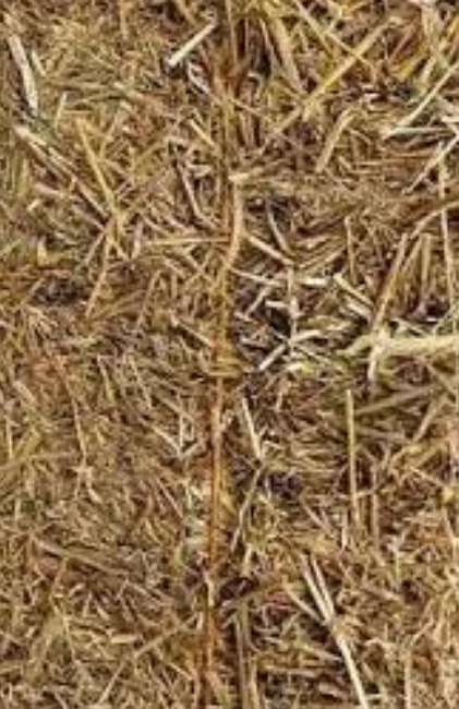 Big bales barley hay