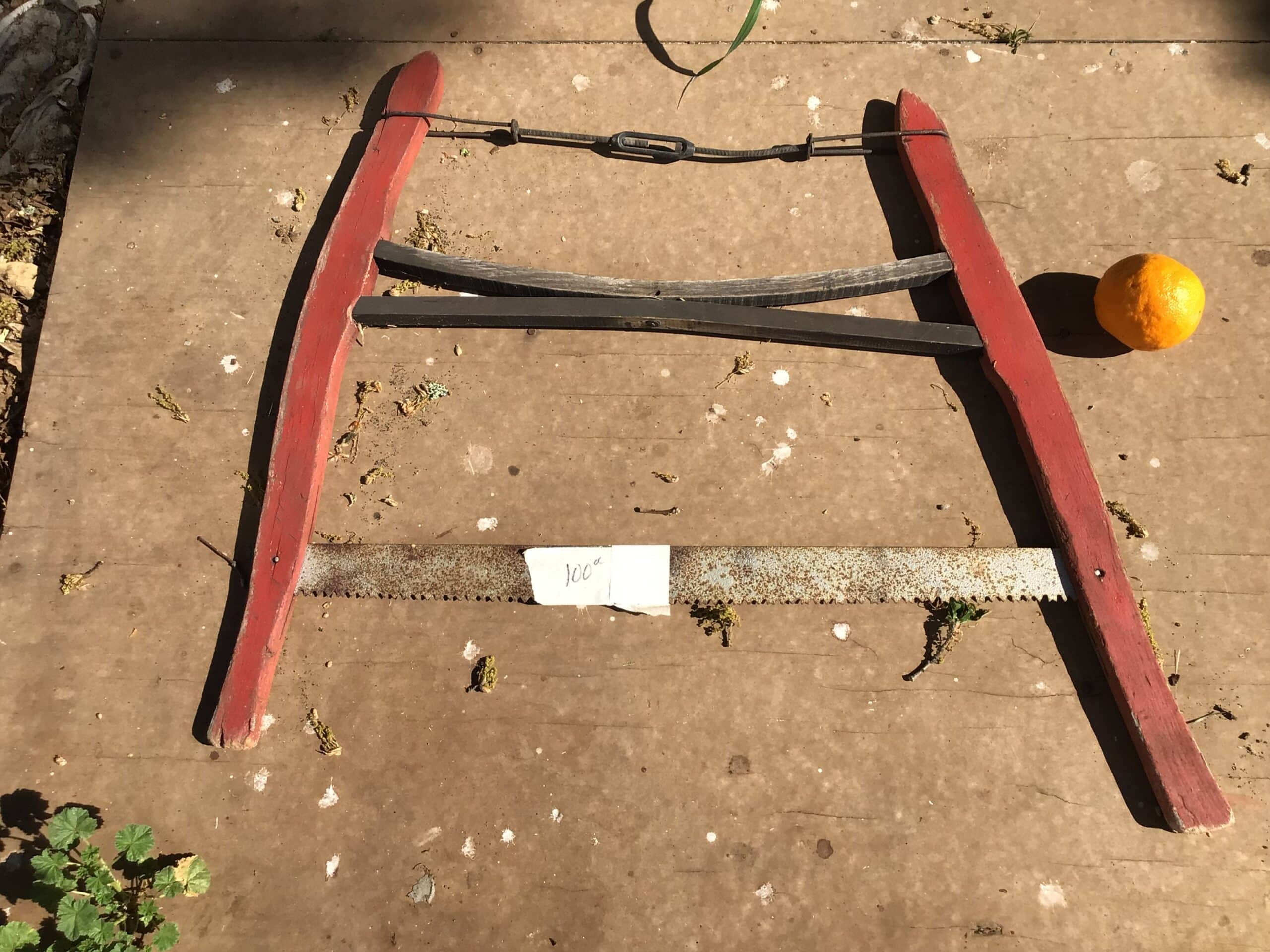 Cabin saw
