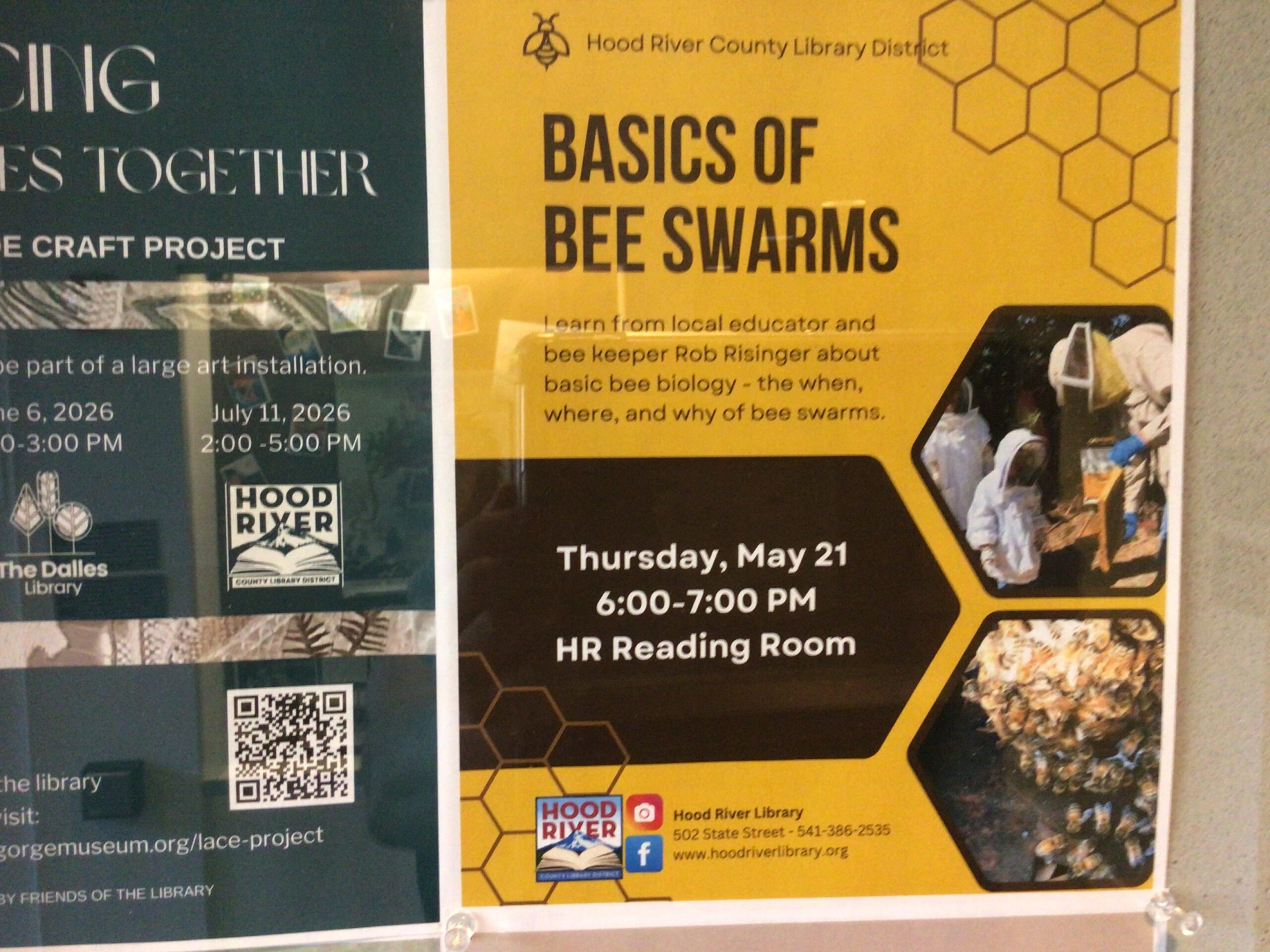 Bee swarm class