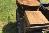 Black walnut