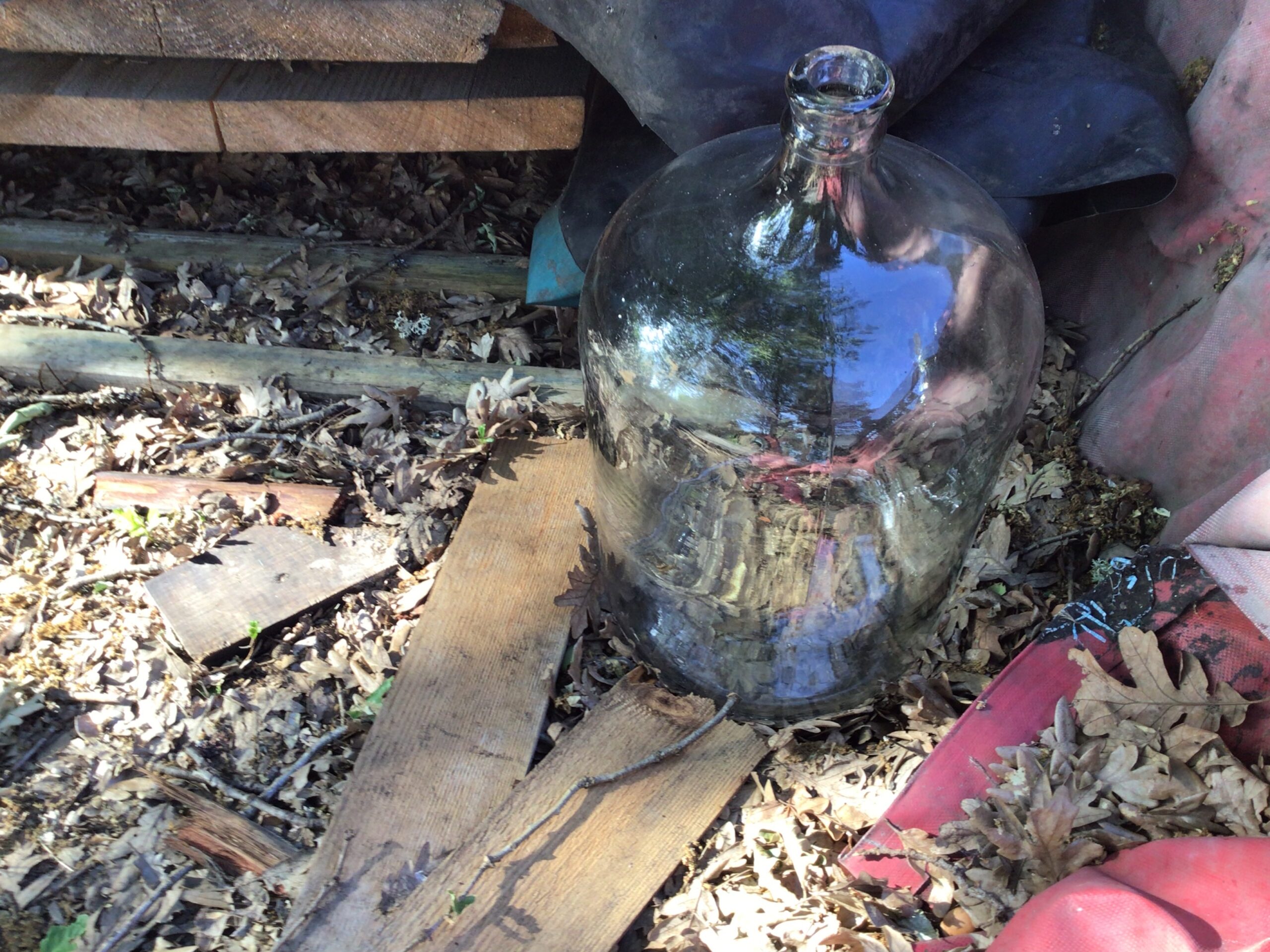 Glass carboy