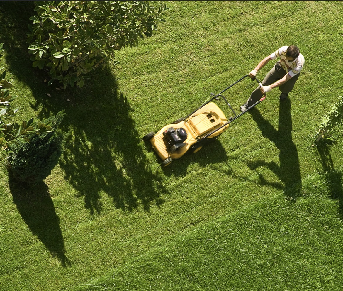 Lawn care & maintenance services