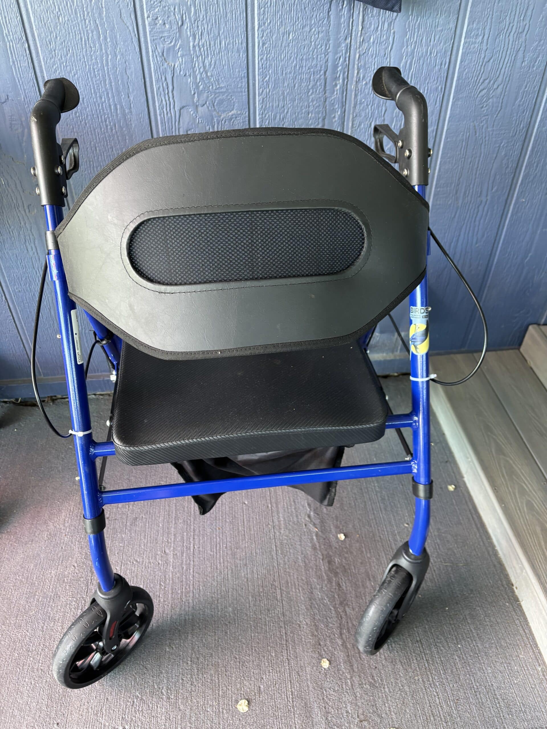 Sturdy Heavy Weight Walker