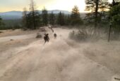 FIGHT FIRE THIS SUMMER – FREE TRAINING- EXCELLENT PAY