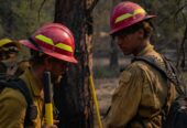 FIGHT FIRE THIS SUMMER – FREE TRAINING- EXCELLENT PAY