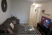 1 bedroom home for rent