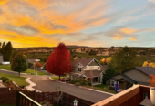 Beautiful Family Home with an Orchard View