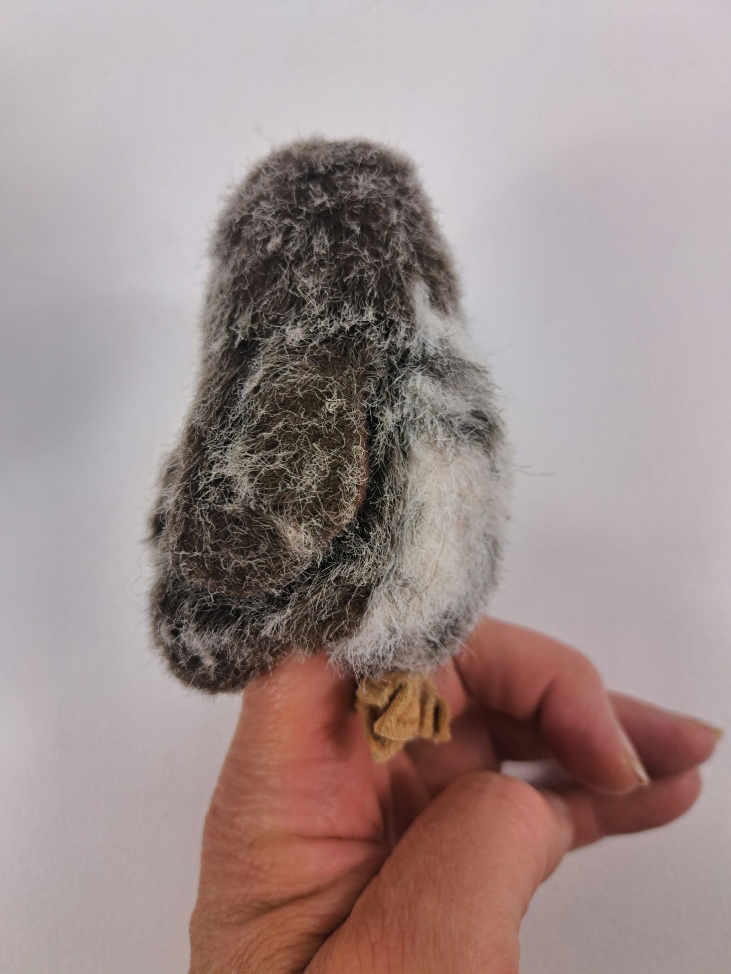 2 small finger puppets