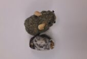 2 small finger puppets