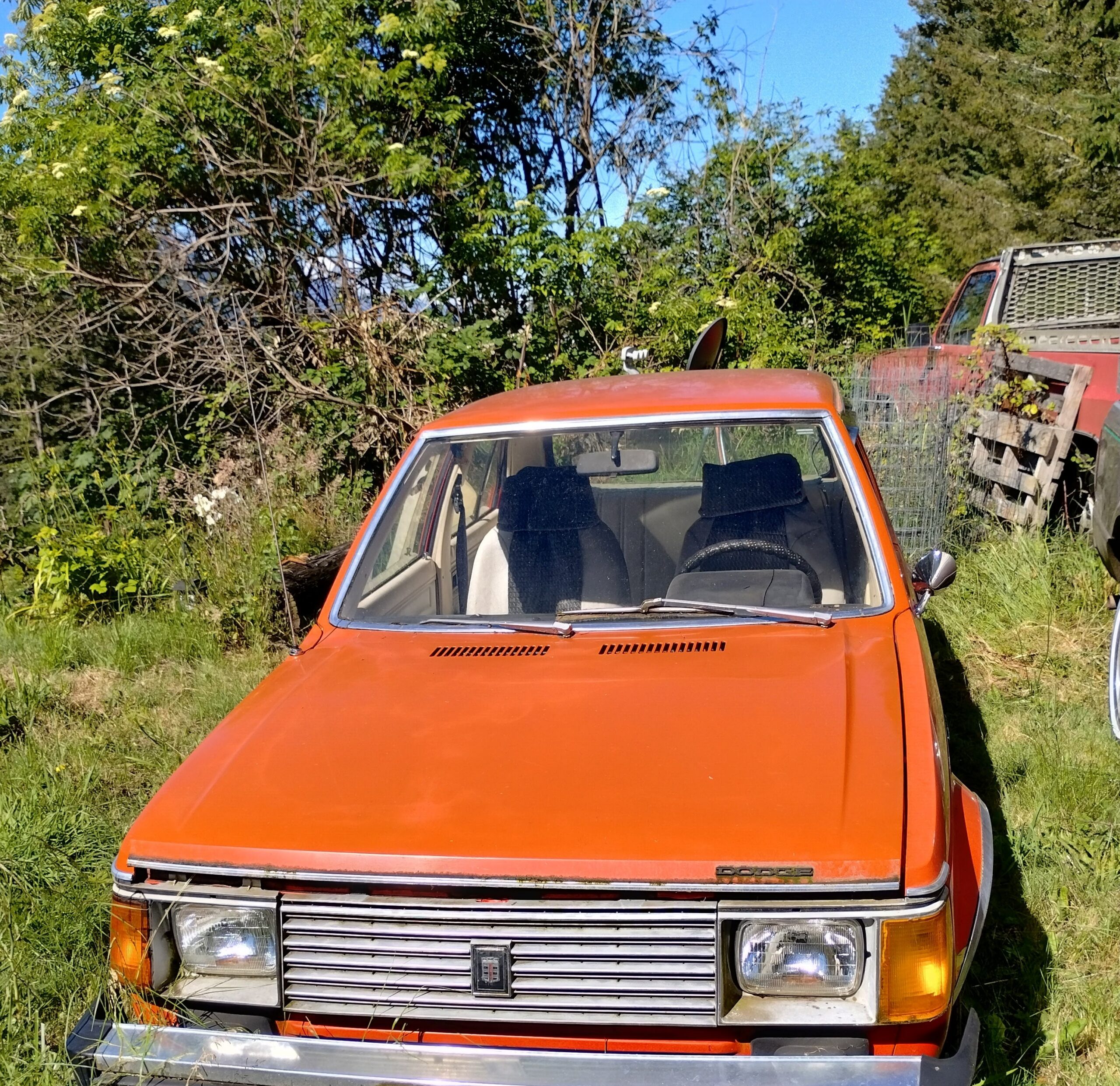1978 Dodge Omni