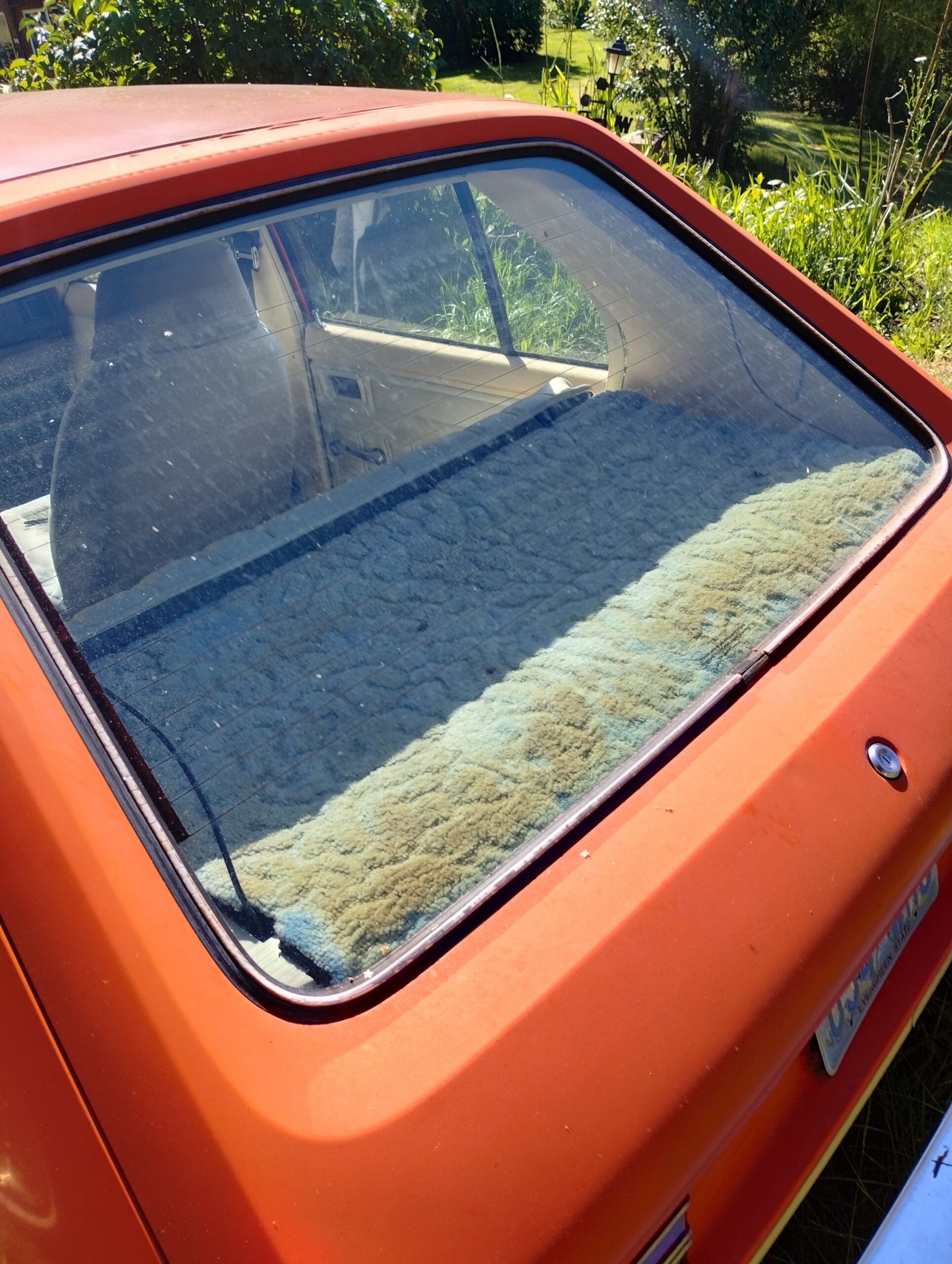 1978 Dodge Omni