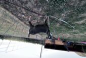 Alpine/Nubian Doe + Doeling Pair – $300