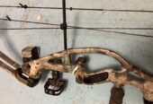 Compound Bow