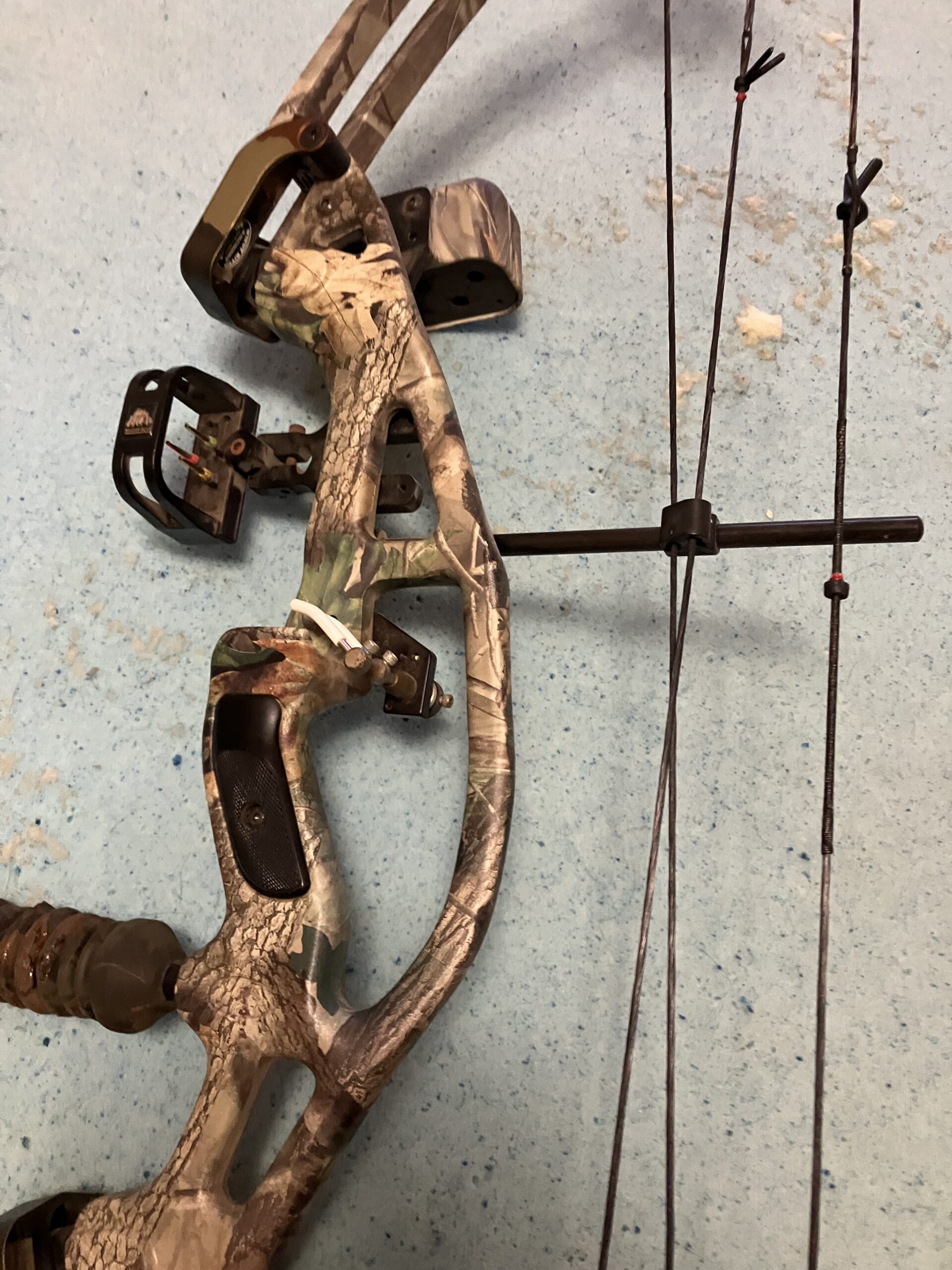 Compound Bow