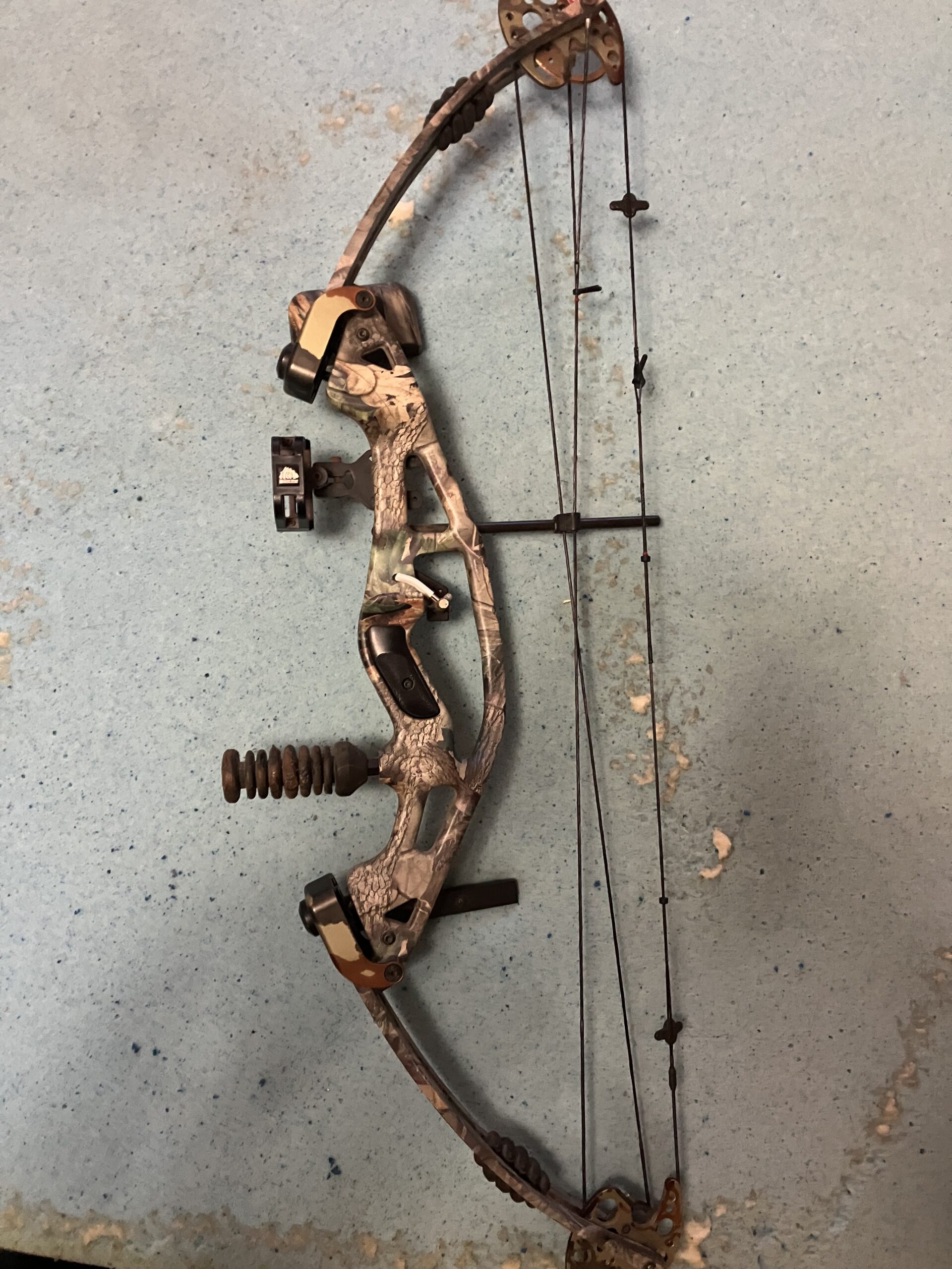 Compound Bow