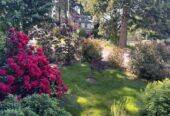 Fully Furnished House for Long Term Rental