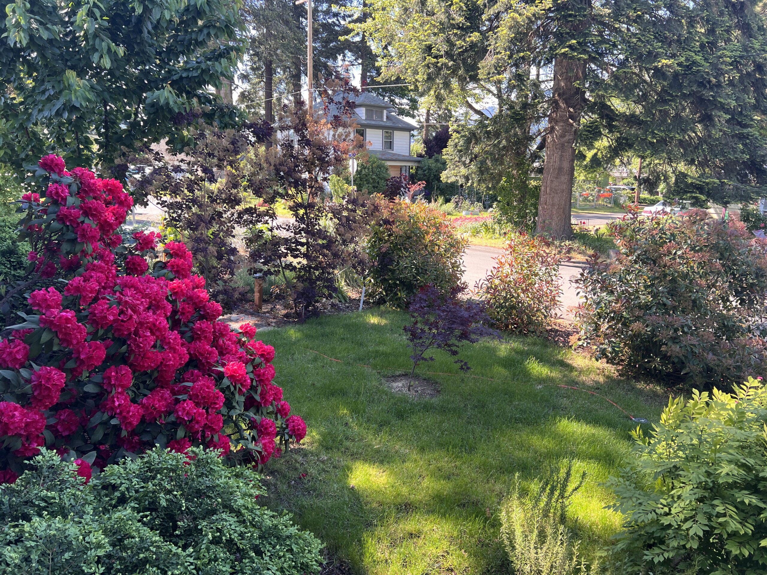 Fully Furnished House for Long Term Rental