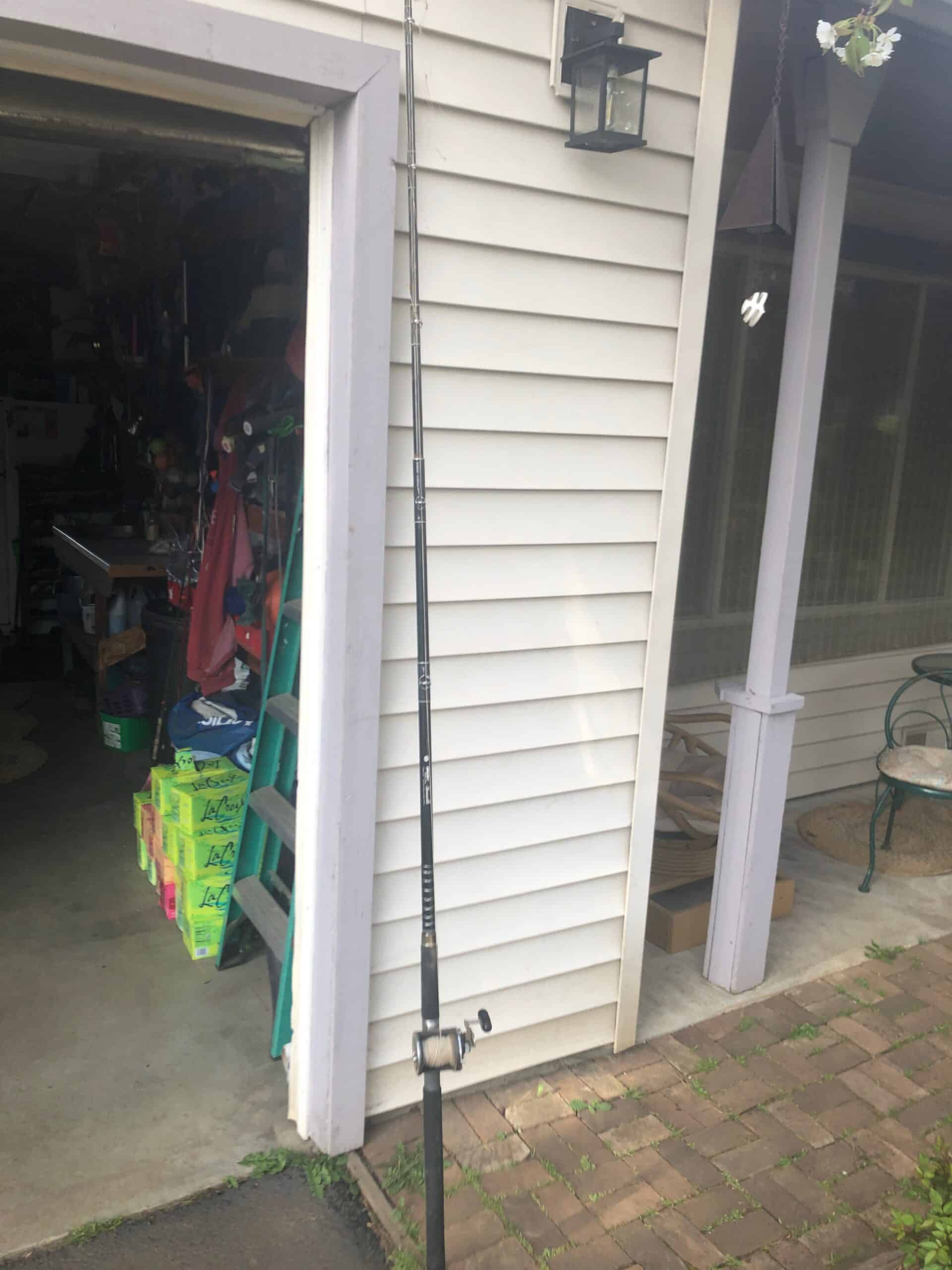 sturgeon fishing rod and reel