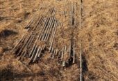 Old well pipes and electrical cable for pump
