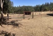 Horse barn & paddock for rent