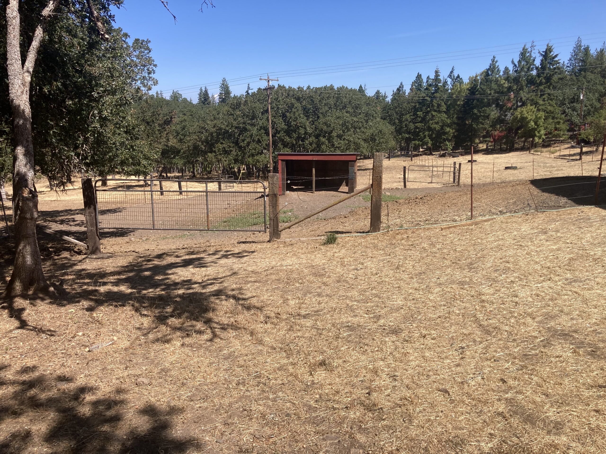 Horse barn & paddock for rent
