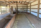 Horse barn & paddock for rent