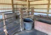 Horse barn & paddock for rent