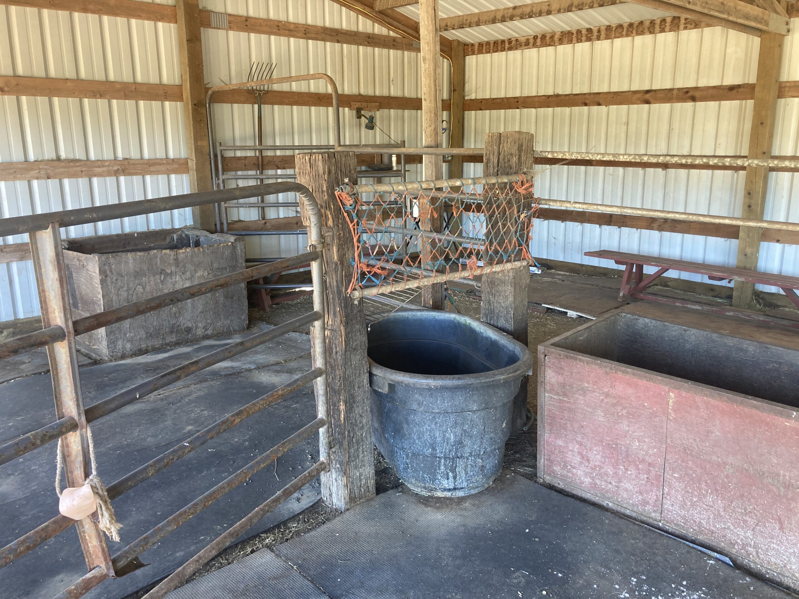 Horse barn & paddock for rent