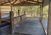 Horse barn & paddock for rent
