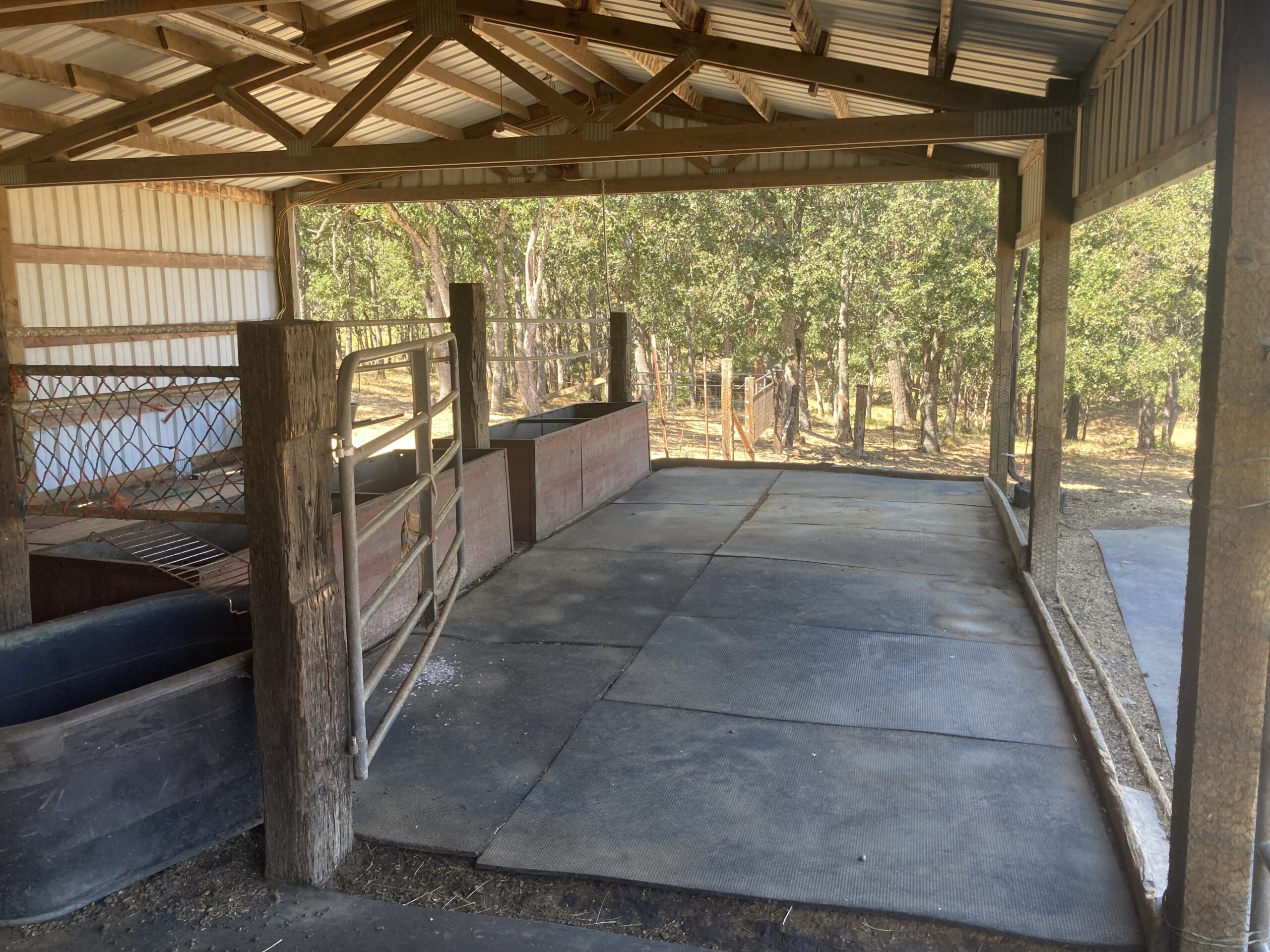 Horse barn & paddock for rent