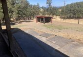 Horse barn & paddock for rent