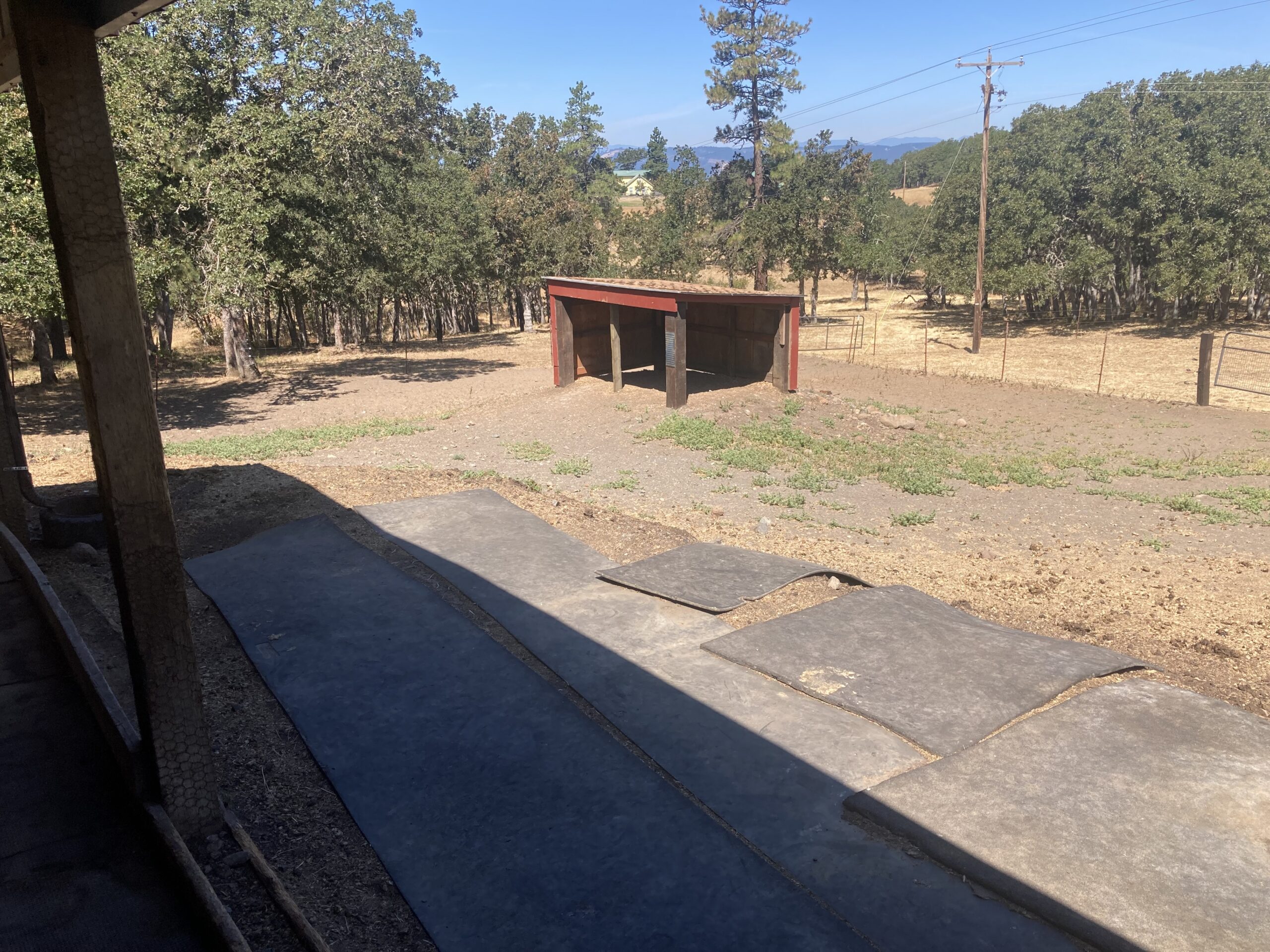 Horse barn & paddock for rent